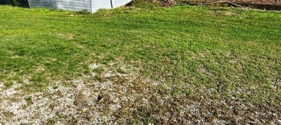 4 Schlafzimmer Haus in Calvisano, Italy, Nr. 375730 10