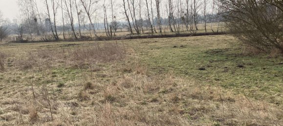 4 rooms House in Oberspreewald-Lausitz, Germany No. 45454 13