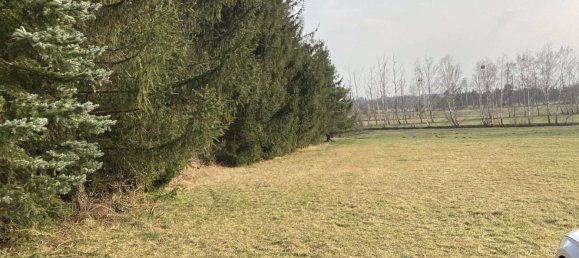 4 rooms House in Oberspreewald-Lausitz, Germany No. 45454 20