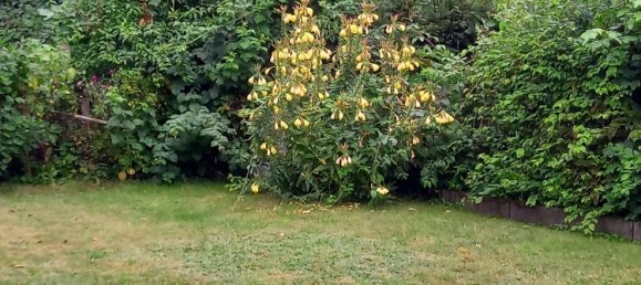 Таунхаус с 2 спальнями в Обербергиш, Германия № 257066 16