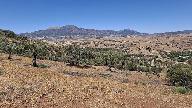 25000m² Land in Coin, Spain No. 220689