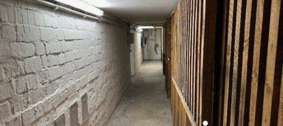 Studio in Linz, Austria No. 20495 10