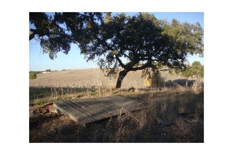 Земельный участок в Феррейра ду Алентежу, Португалия № 291795