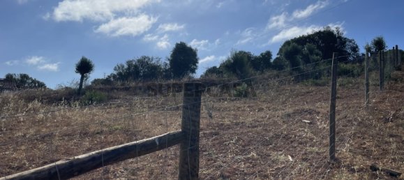 1 غرف نوم منزل في Santiago do Cacem, Portugal رقم 167625 13