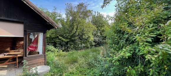 10 rooms House in Niederhollabrunn, Austria No. 159146 34