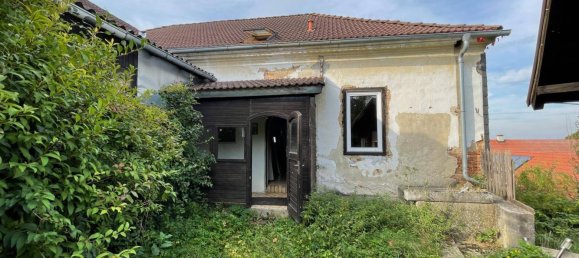 10 rooms House in Niederhollabrunn, Austria No. 159146 10