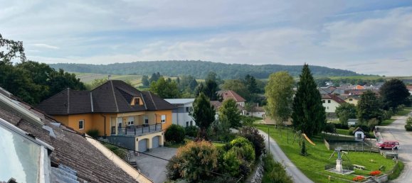 10 rooms House in Niederhollabrunn, Austria No. 159146 8