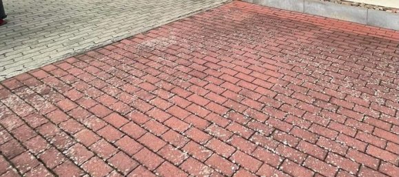 4 غرف نوم منزل في Waldhouse, France رقم 85947 13