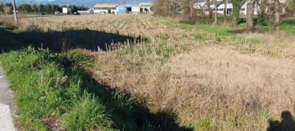 Земельный участок 6500м² в Капаннори, Италия № 102738 3