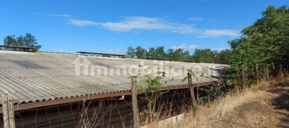 5-Zimmer Haus in Anguillara Sabazia, Italy, Nr. 336842 7