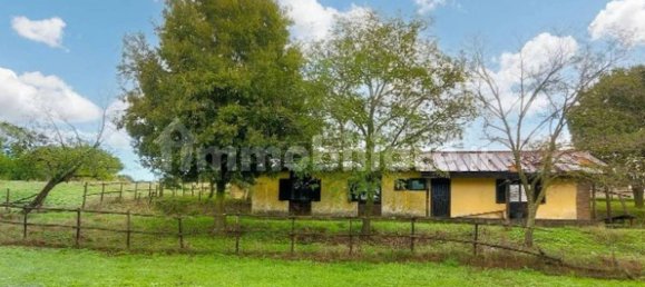 5-Zimmer Haus in Anguillara Sabazia, Italy, Nr. 336842 12