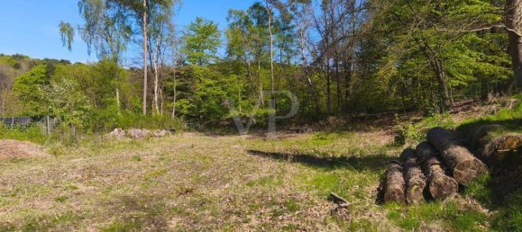 Земельный участок в Харбург, Германия № 352096 2