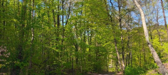 Земельный участок в Харбург, Германия № 352096 4