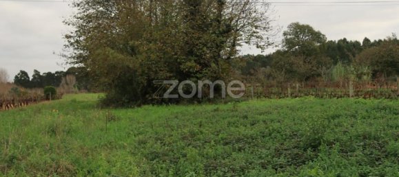  قطعة أرض في Palhaca, Portugal رقم 86283 9