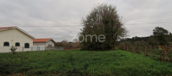  قطعة أرض في Palhaca, Portugal رقم 86283 10