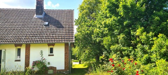 4-Zimmer Stadthaus in Güstrow, Germany, Nr. 365108 5