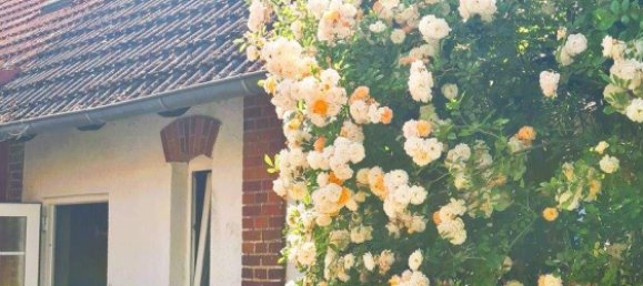 4-Zimmer Stadthaus in Güstrow, Germany, Nr. 365108 3