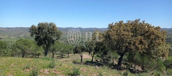 19 غرف نوم قلاع في Sao Bartolomeu de Messines, Portugal رقم 9699 12