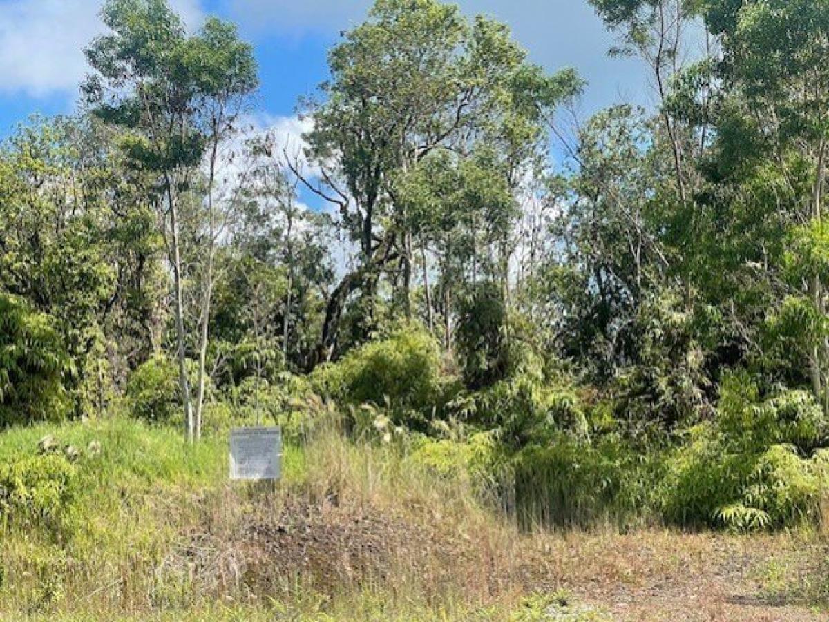  Land in Hilo, USA No. 488136