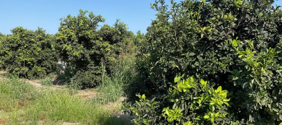  Land in Xeresa, Spain No. 158939 4