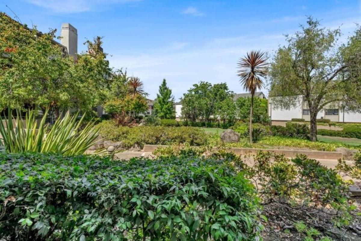 Studio in Fremont, USA No. 399287