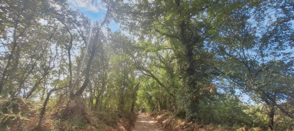 Terreno de 1 divisão em Todi, Italy N.º 67055 3