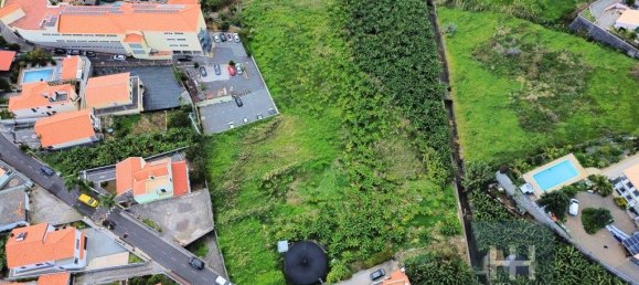 5348m² Land in Ribeira Brava, Portugal No. 141923 5