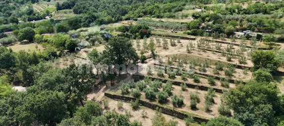 Grundstück in Trieste, Italy 245000m², Nr. 280610 4