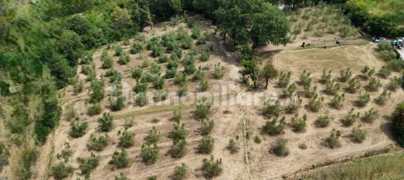 Grundstück in Trieste, Italy 245000m², Nr. 280610 3