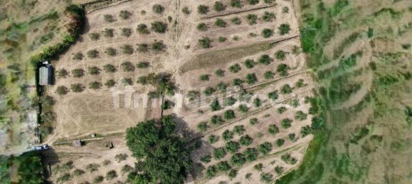 Grundstück in Trieste, Italy 245000m², Nr. 280610 6