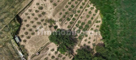 Grundstück in Trieste, Italy 245000m², Nr. 280610 5