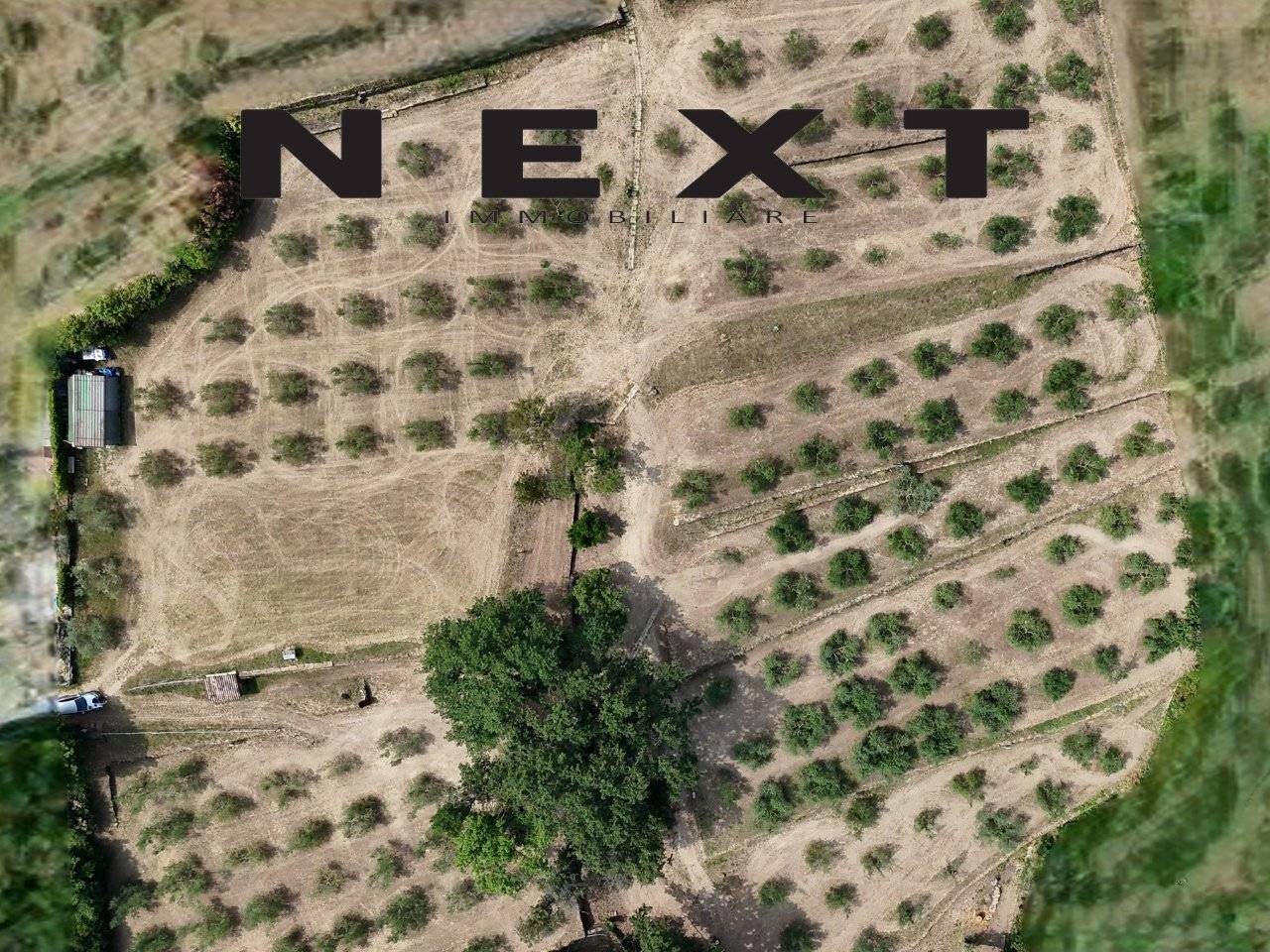 Grundstück in Trieste, Italy 245000m², Nr. 280610