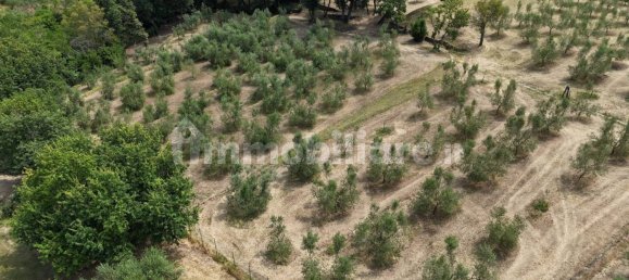 Grundstück in Trieste, Italy 245000m², Nr. 280610 2