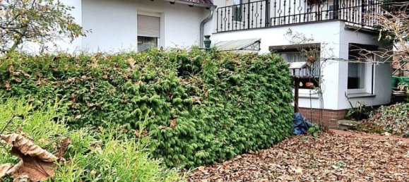 5 rooms House in Brandenburg, Germany No. 14354 2