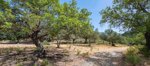  Land in Malaga, Spain No. 147638 4