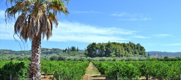 14000m² Hotel in Pyrgos, Greece No. 7102 2