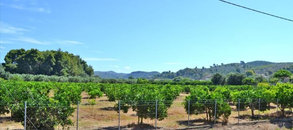 Hotel en Pyrgos, Greece 14000 m² No. 7102 7