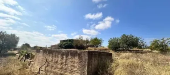  قطعة أرض في Tortosa, Spain 2431متر مربع رقم 144785 2