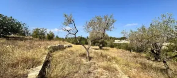  قطعة أرض في Tortosa, Spain 2431متر مربع رقم 144785 3