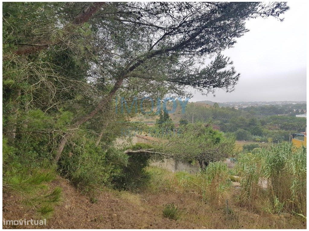  قطعة أرض في Cascais, Portugal 8080متر مربع رقم 135842