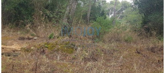 قطعة أرض في Cascais, Portugal 8080متر مربع رقم 135842 6