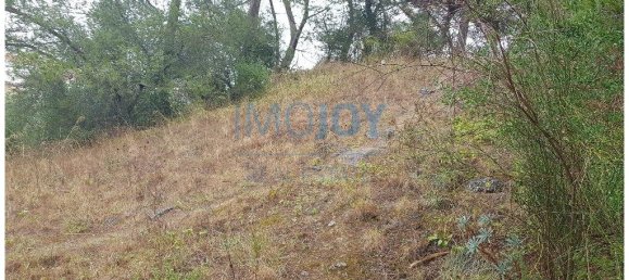 قطعة أرض في Cascais, Portugal 8080متر مربع رقم 135842 10