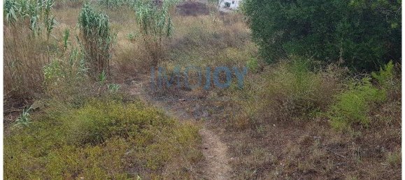 قطعة أرض في Cascais, Portugal 8080متر مربع رقم 135842 3