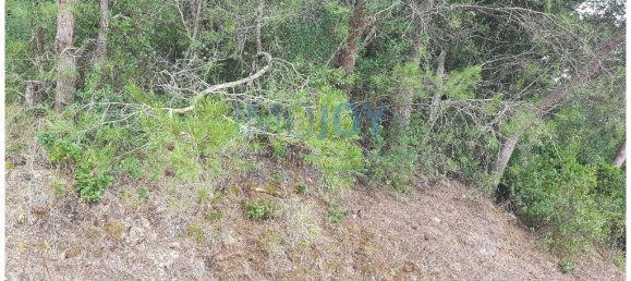 قطعة أرض في Cascais, Portugal 8080متر مربع رقم 135842 11