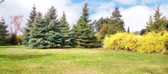 Земельный участок в Лейпциг, Германия № 154241 2