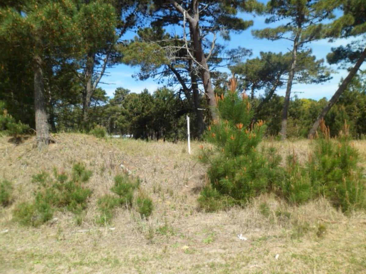  قطعة أرض في Mar del Plata, Argentina رقم 115993