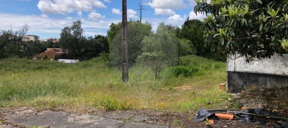 4 bedrooms House in Granja do Ulmeiro, Portugal No. 35537 3