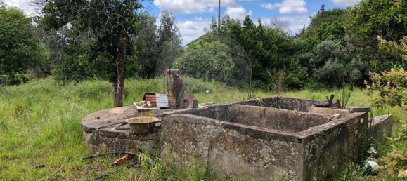 4 bedrooms House in Granja do Ulmeiro, Portugal No. 35537 9