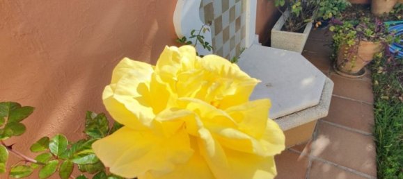 4 Schlafzimmer Haus in Cadiz, Spain, Nr. 23244 37