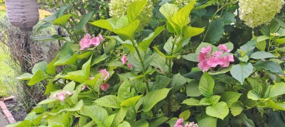 Terreno en Teltow-Flaming, Germany No. 346629 15